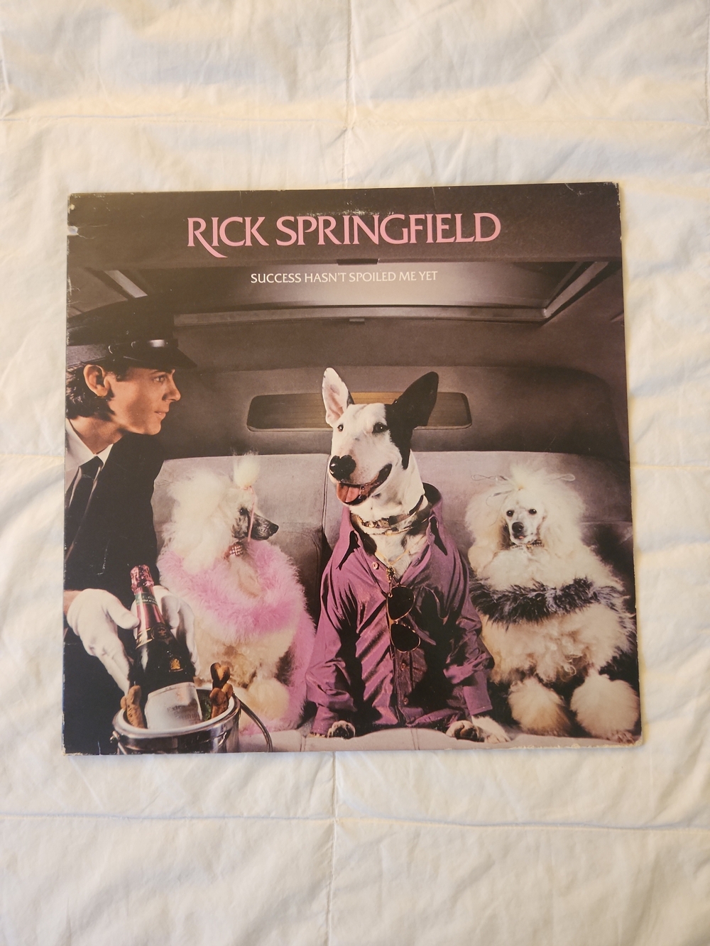 Rick Springfield 'Success Hasn't Spoiled Me Yet' Side A Unplayed Side B Rarely